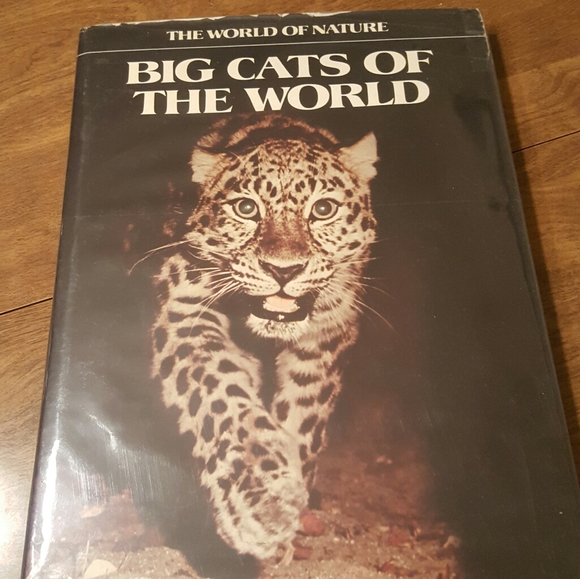 1975 FIRST PRINTING THE WORLD OF NATURE BIG CATS O - Picture 2 of 12
